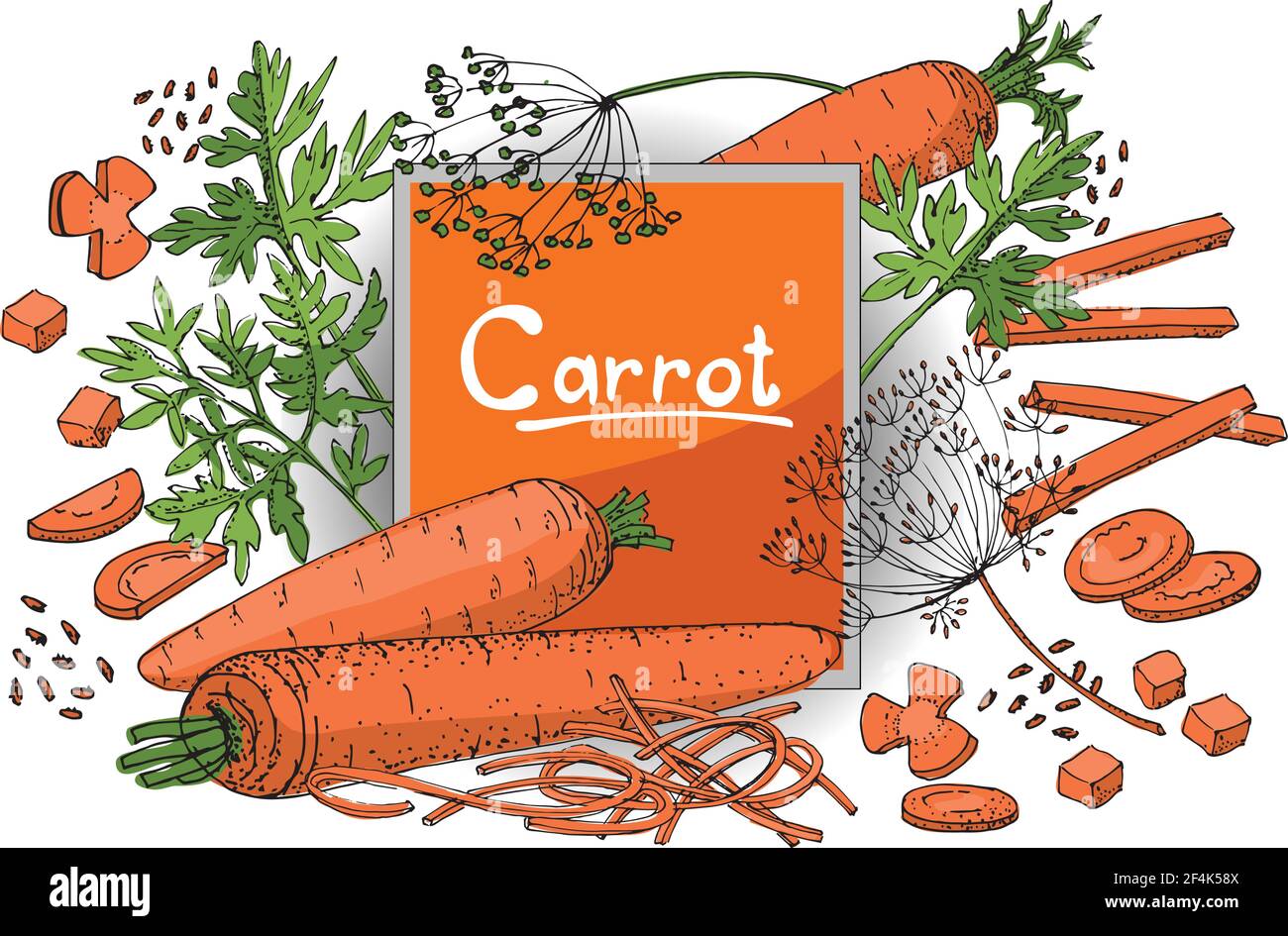 Vegetable vector sketch. A set of carrots of different types. Isolated carrots, diced, cubes, roundels, straws and noodles. Stock Vector