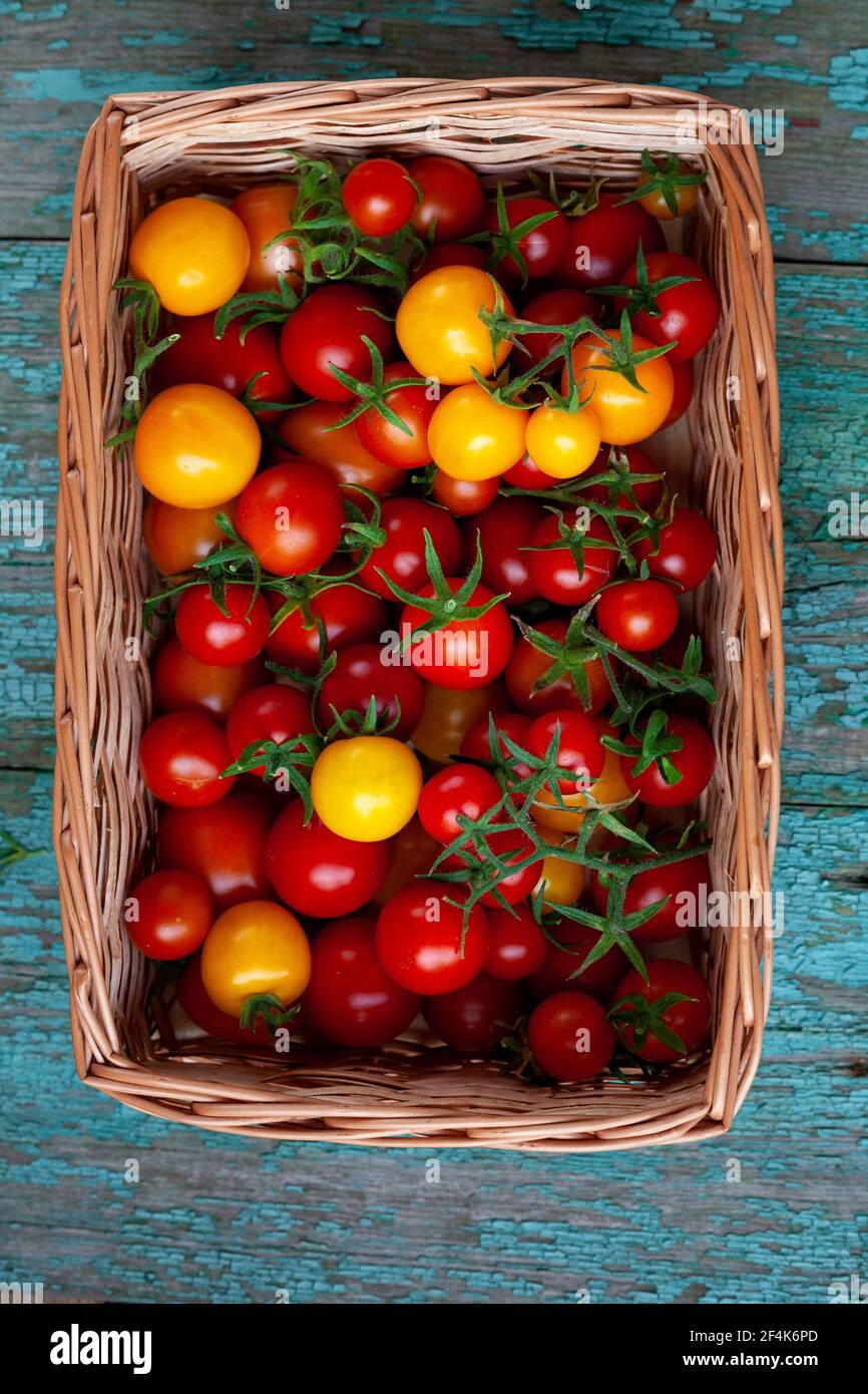 Red and yellow cherry tomatoes basket top view. Harvest vegetables ...