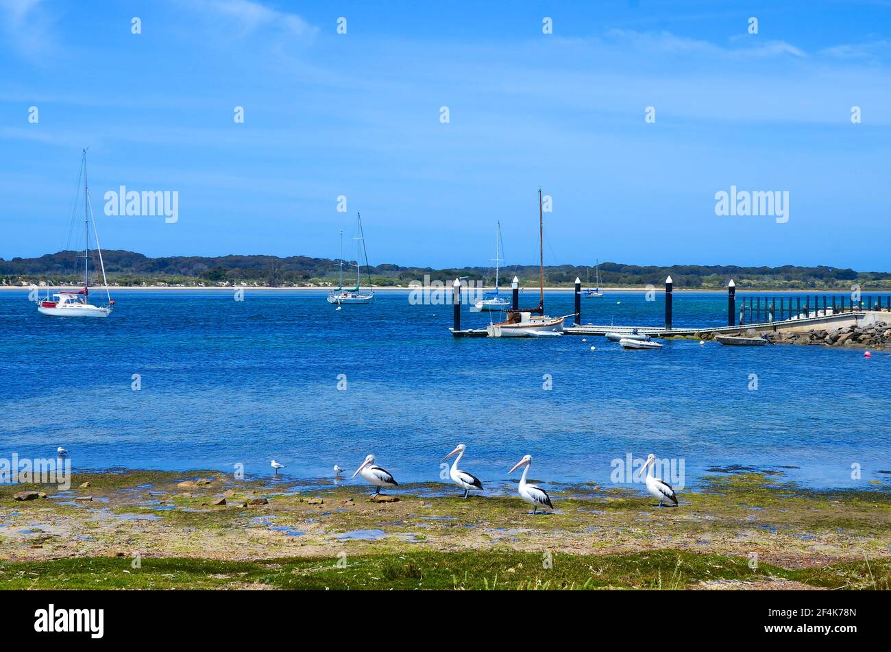 American River, Kangaroo Island, South Australia Stock Photo Alamy