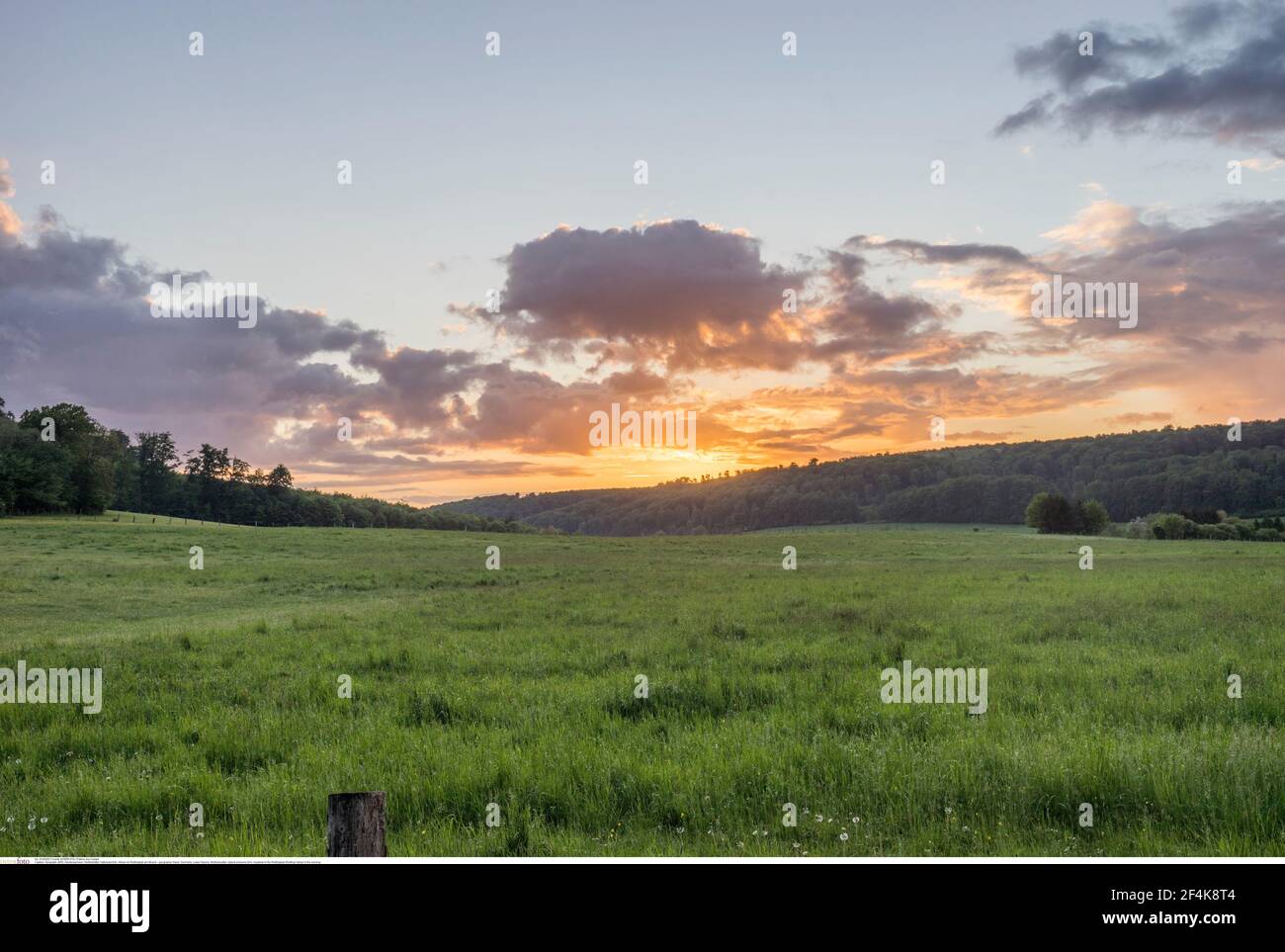 geography / travel, Germany, Lower Saxony, Wolfenbuettel, natural preserve Elm, meadow in the Reitling, Additional-Rights-Clearance-Info-Not-Available Stock Photo