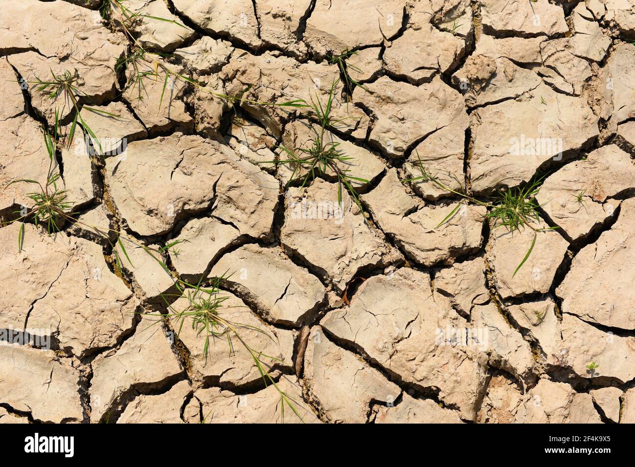 Global warming concept, Cracked soil arid land with dry and cracked ...