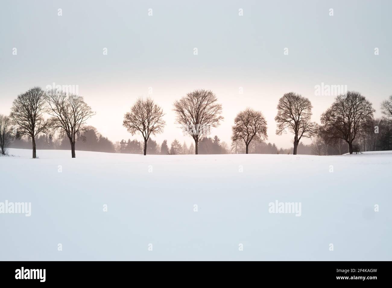 Winter landscape for wallpaper hi-res stock photography and images - Alamy