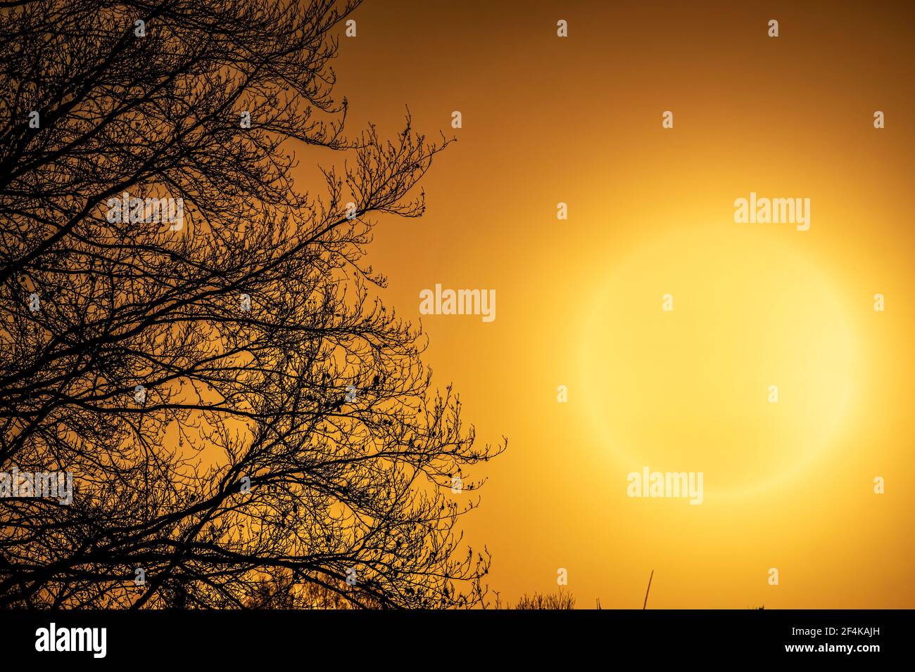 heat wave in summer. dramatic orange sky. climate change and global warming. Stock Photo
