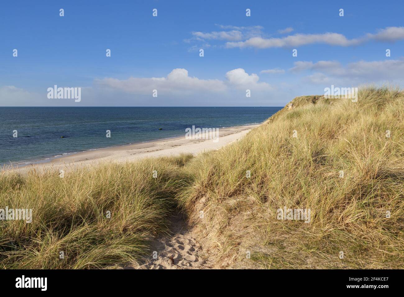 geography / travel, Denmark, Nordjylland, Hirthals, dunes and beach of  Hirtshals, Nordjylland, Norther,  Additional-Rights-Clearance-Info-Not-Available Stock Photo - Alamy