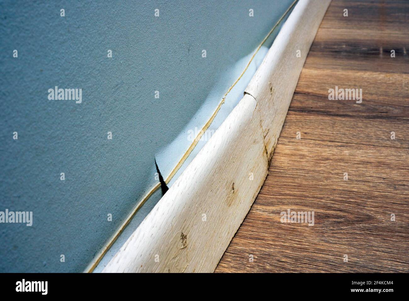 Termite Damage on Wooden Skirting Stock Image - Image of brown, plaster:  188994863