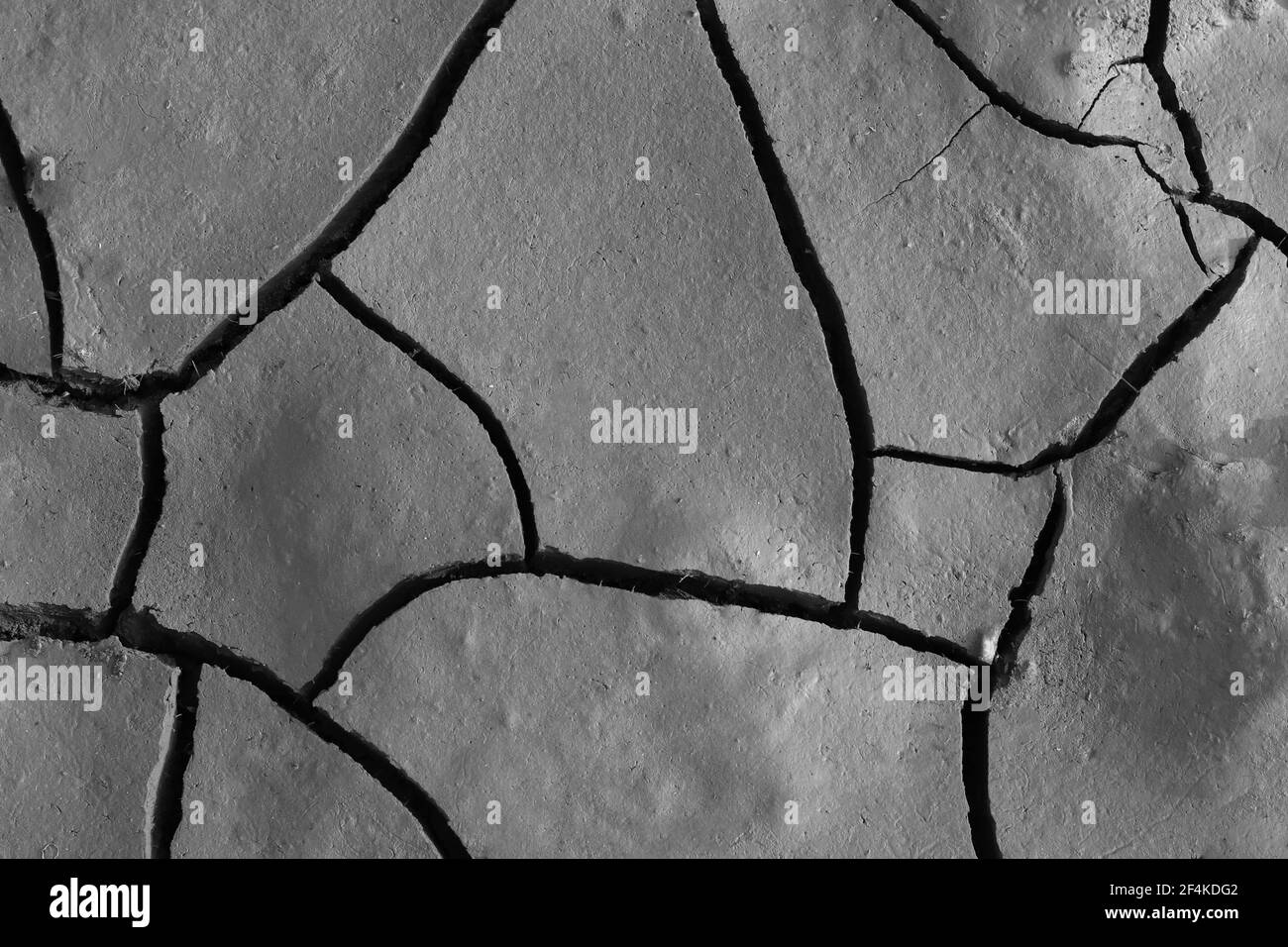 Dried gray cracked clay soil or mud soil texture background Stock Photo