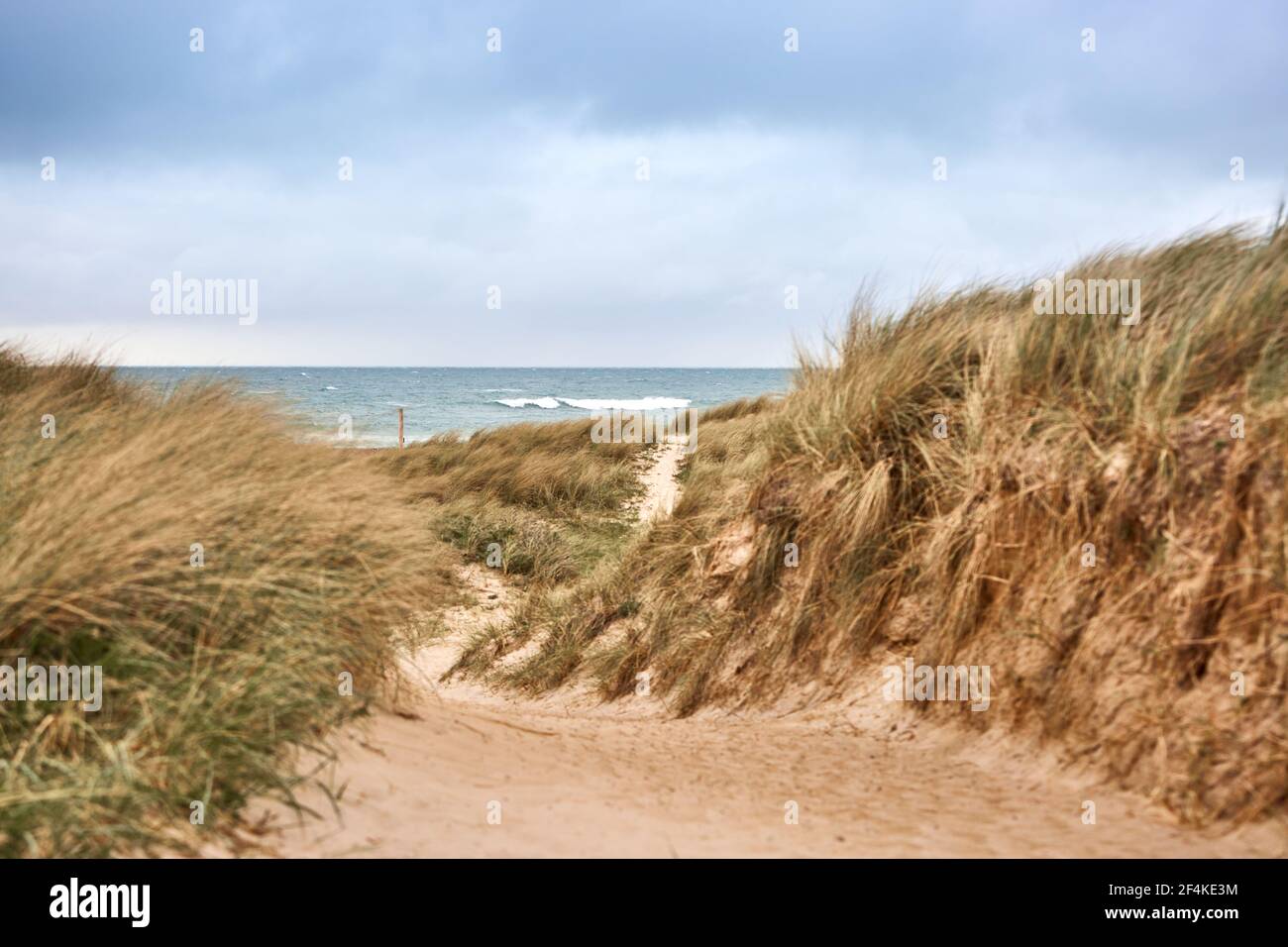 sand dunes on the beach with a blue sky Stock Photo - Alamy