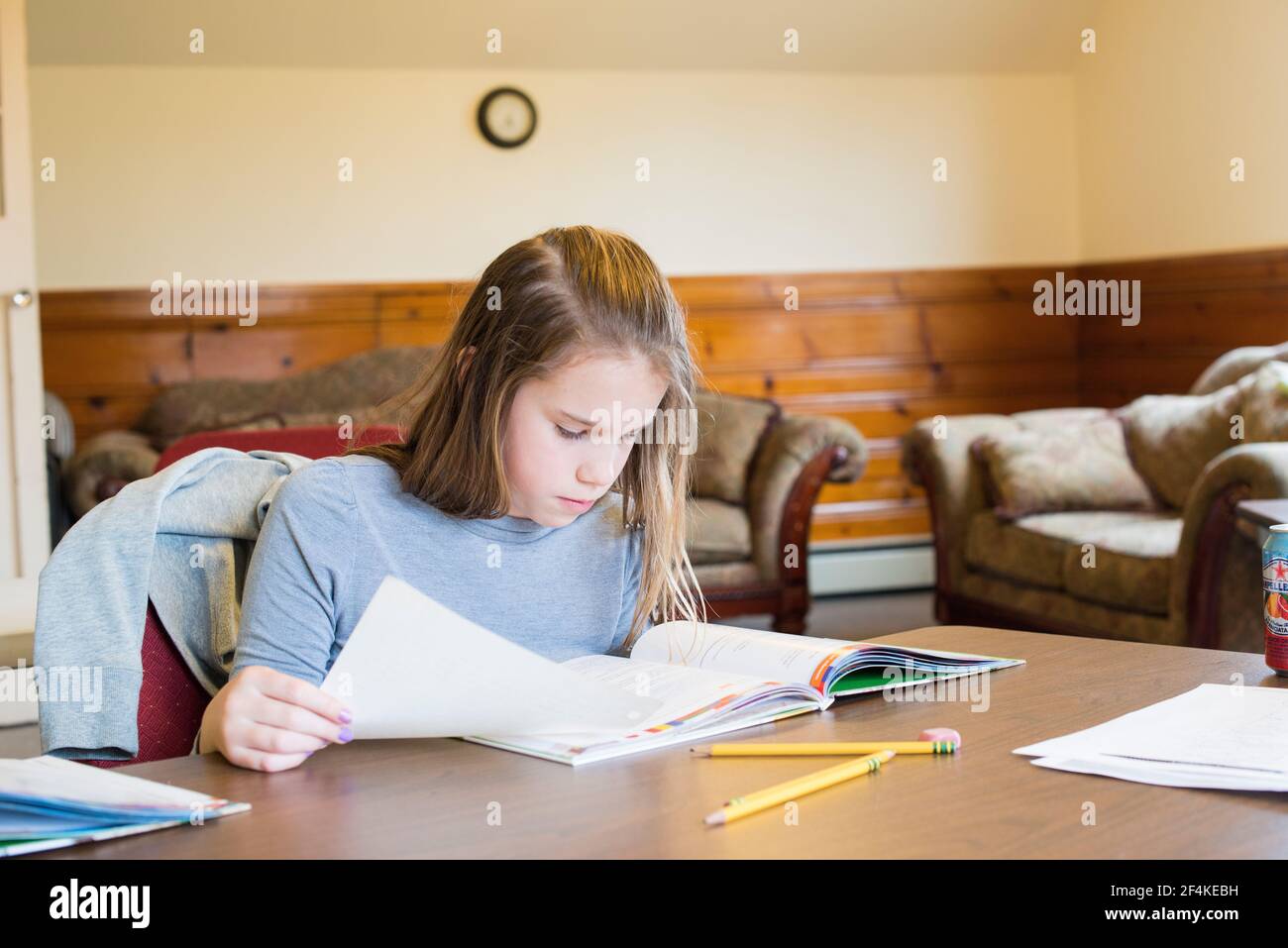 Harrison, New York, USA. Young, female student to the Schol for Dutch Language & Culture, working on her assignment. Stock Photo