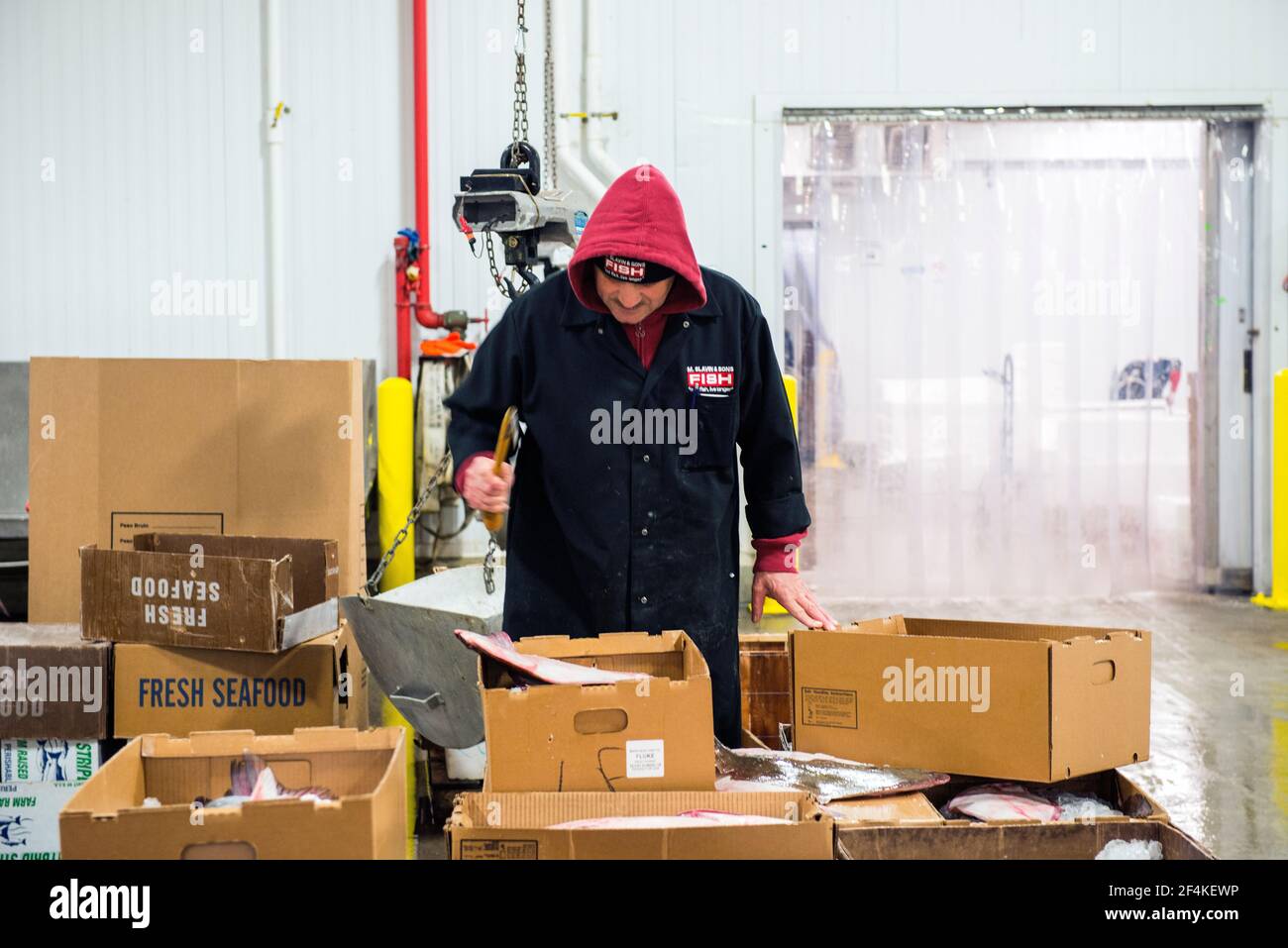 New York City, USA. Wholesale market stall employee preparing boxes