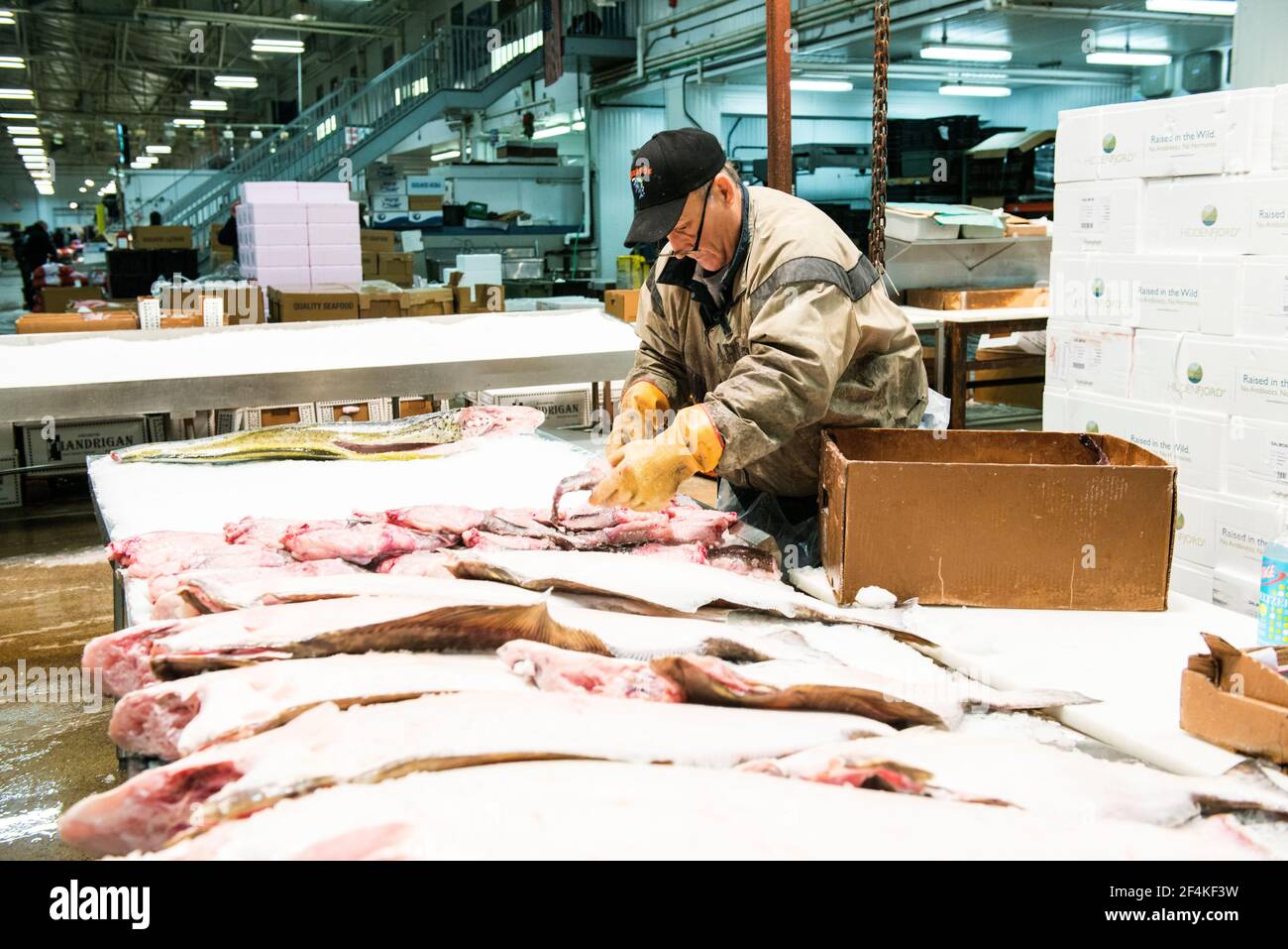 New York City, USA. Wholesale market stall employee preparing boxes