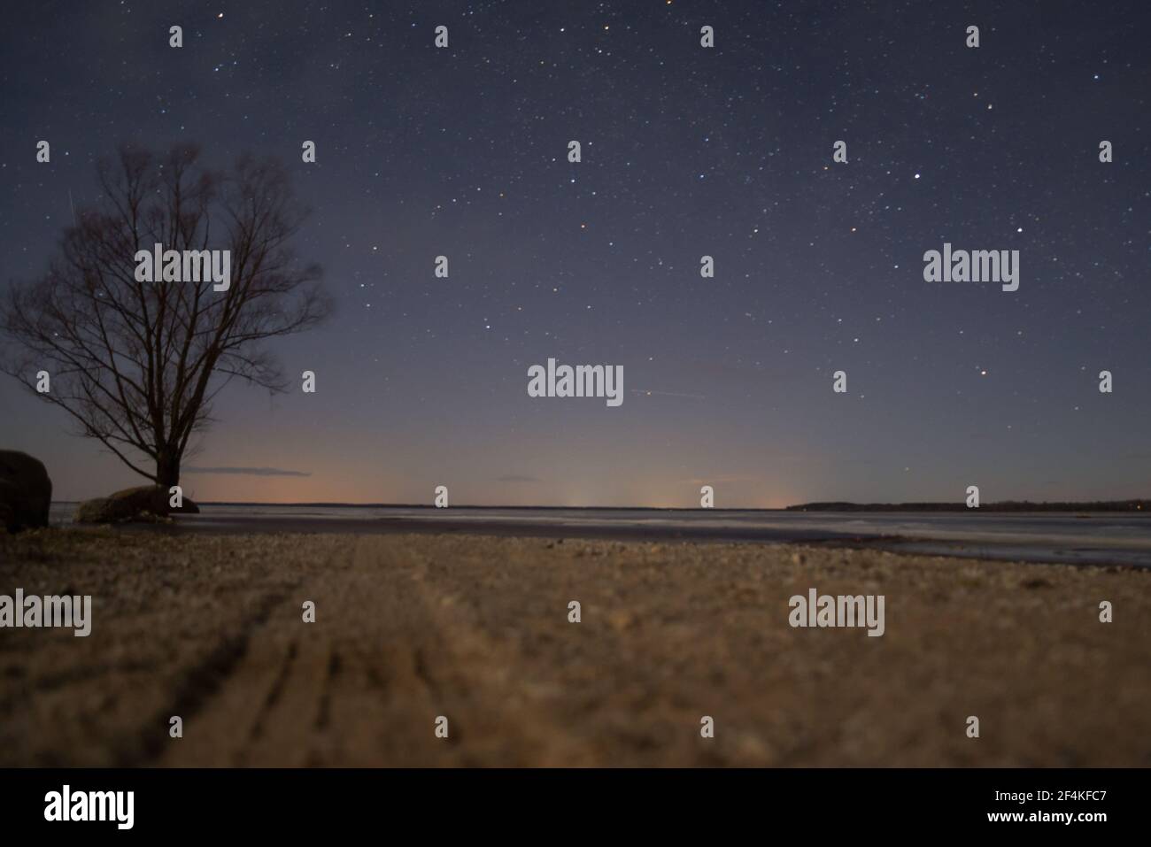 Northern Nights, Starry Skies