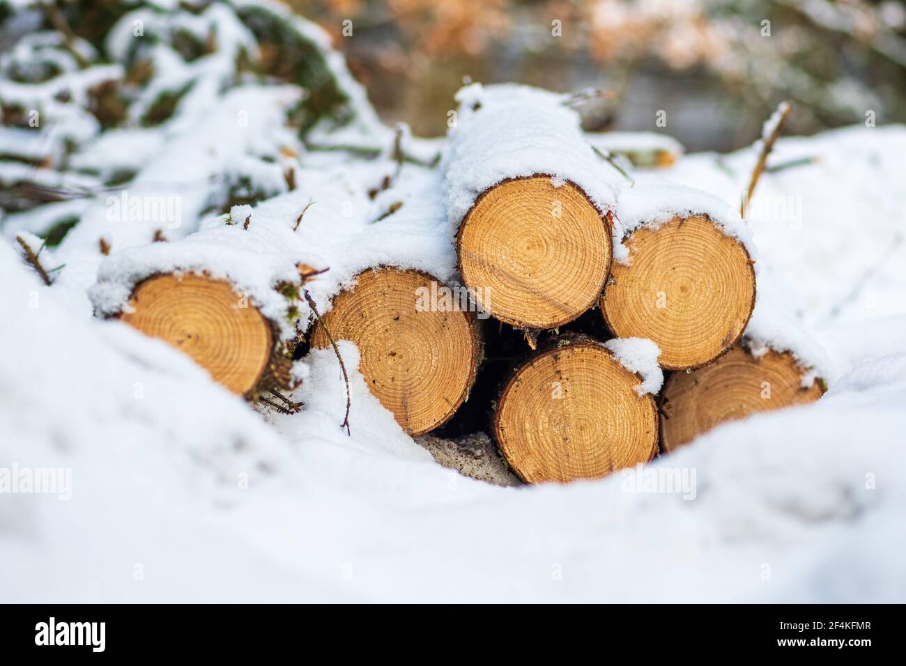 Stack composed of blocks, pieces or logs of wood in winter or spring covered by snow. Stacking wood for drying and storage, close up Stock Photo