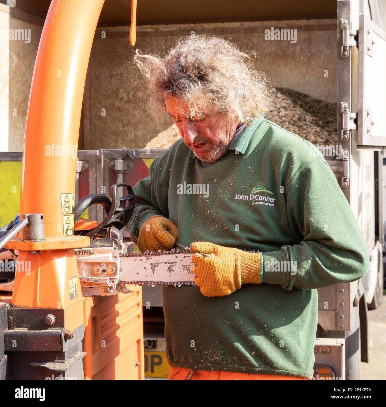 Tree Surgeon Arborist sharpening the blades of his chainsaw with a file. Hertfordshire. UK Stock Photo