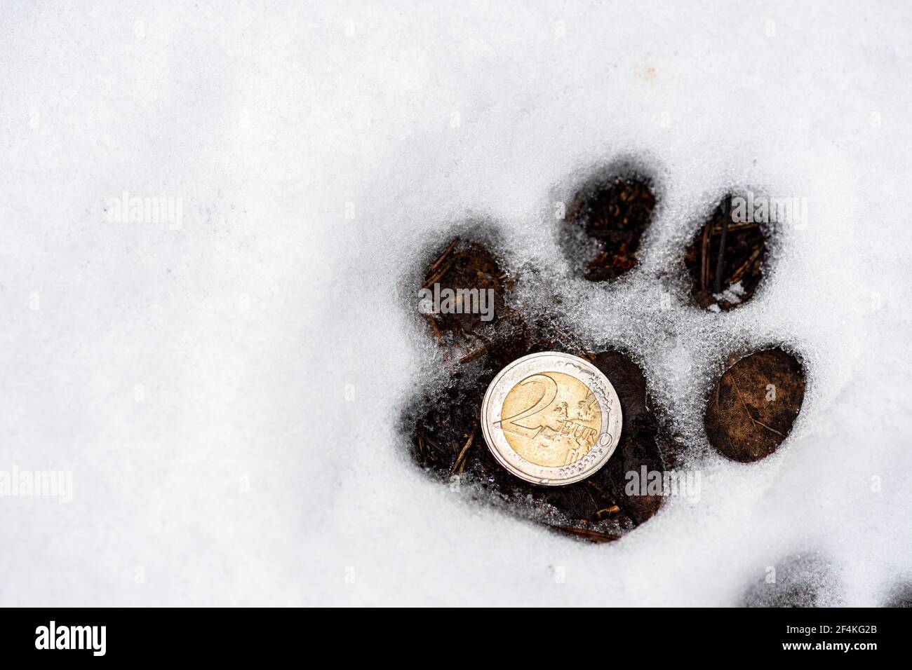 Trace animal chien Banque d'images détourées - Page 2 - Alamy