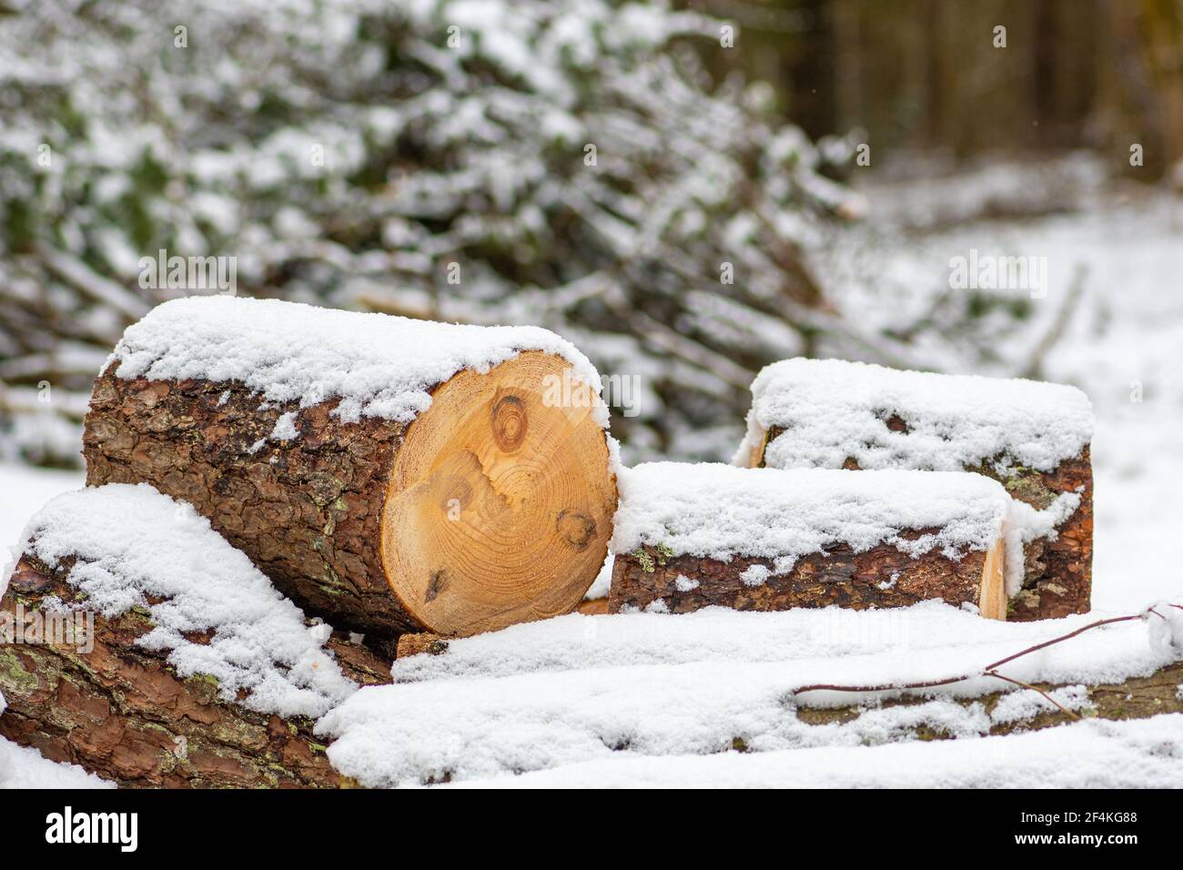 Stack composed of blocks, pieces or logs of wood in winter or spring covered by snow. Stacking wood for drying and storage, close up Stock Photo