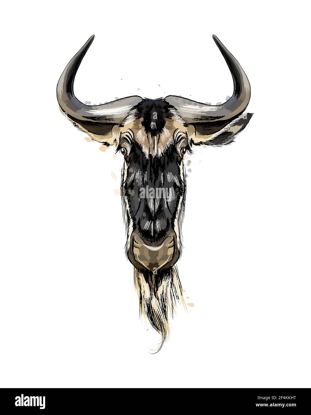 Wildebeest head portrait from a splash of watercolor, colored drawing, realistic. Vector illustration of paints Stock Vector
