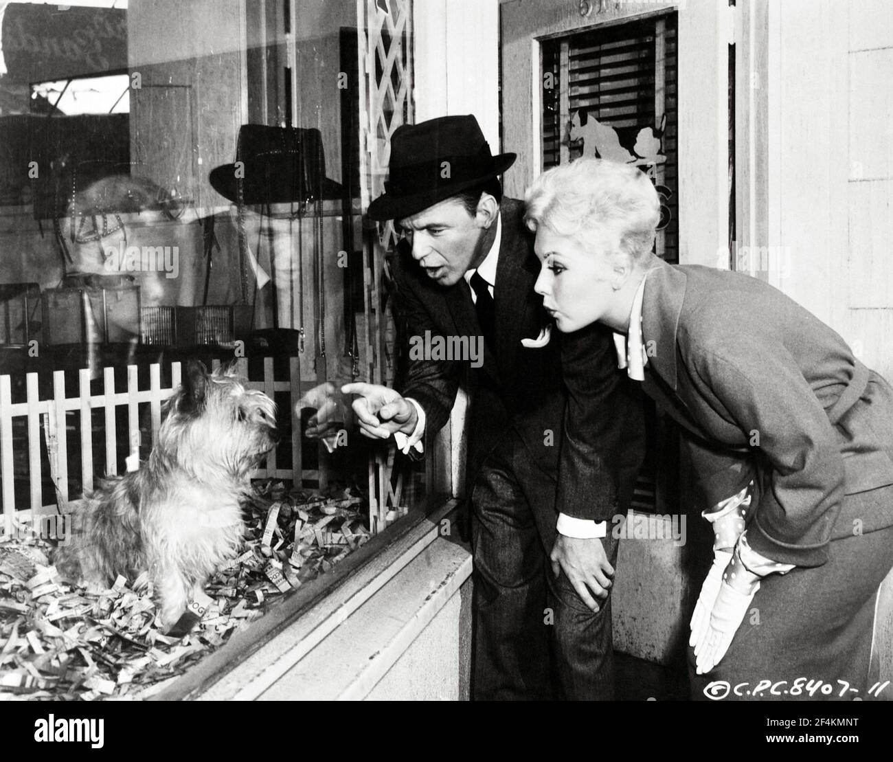 Kim novak pal joey 1957 directed by hi-res stock photography and images