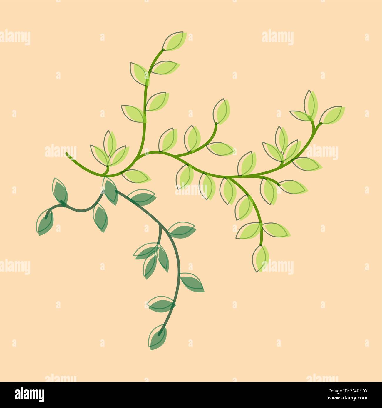 Vector illustration twig with leaves. Patten with green leaf. Stock Vector