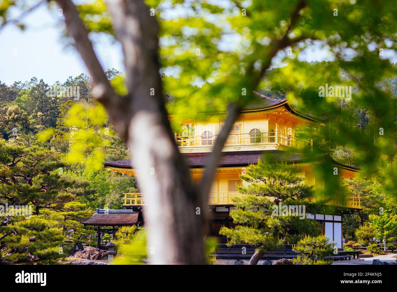 Kinkakuji Temple (The Golden Pavilion) in Kyoto, Japan Stock Photo