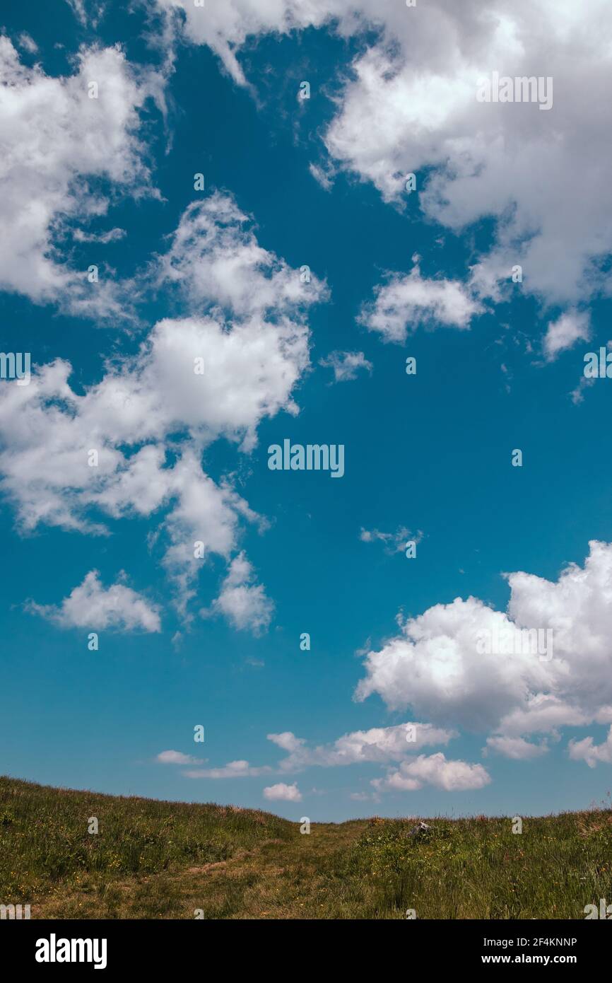 Village field grass with flowers and blue sky with big clouds. Rural ...