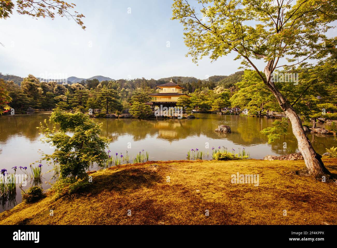 Kinkakuji Temple (The Golden Pavilion) in Kyoto, Japan Stock Photo