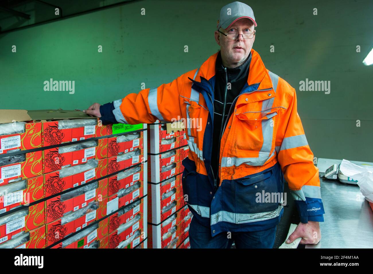Rotterdam, Netherlands. One man checking a just arrived shipload of grapes, inside a cooled harbor warehouse. Stock Photo