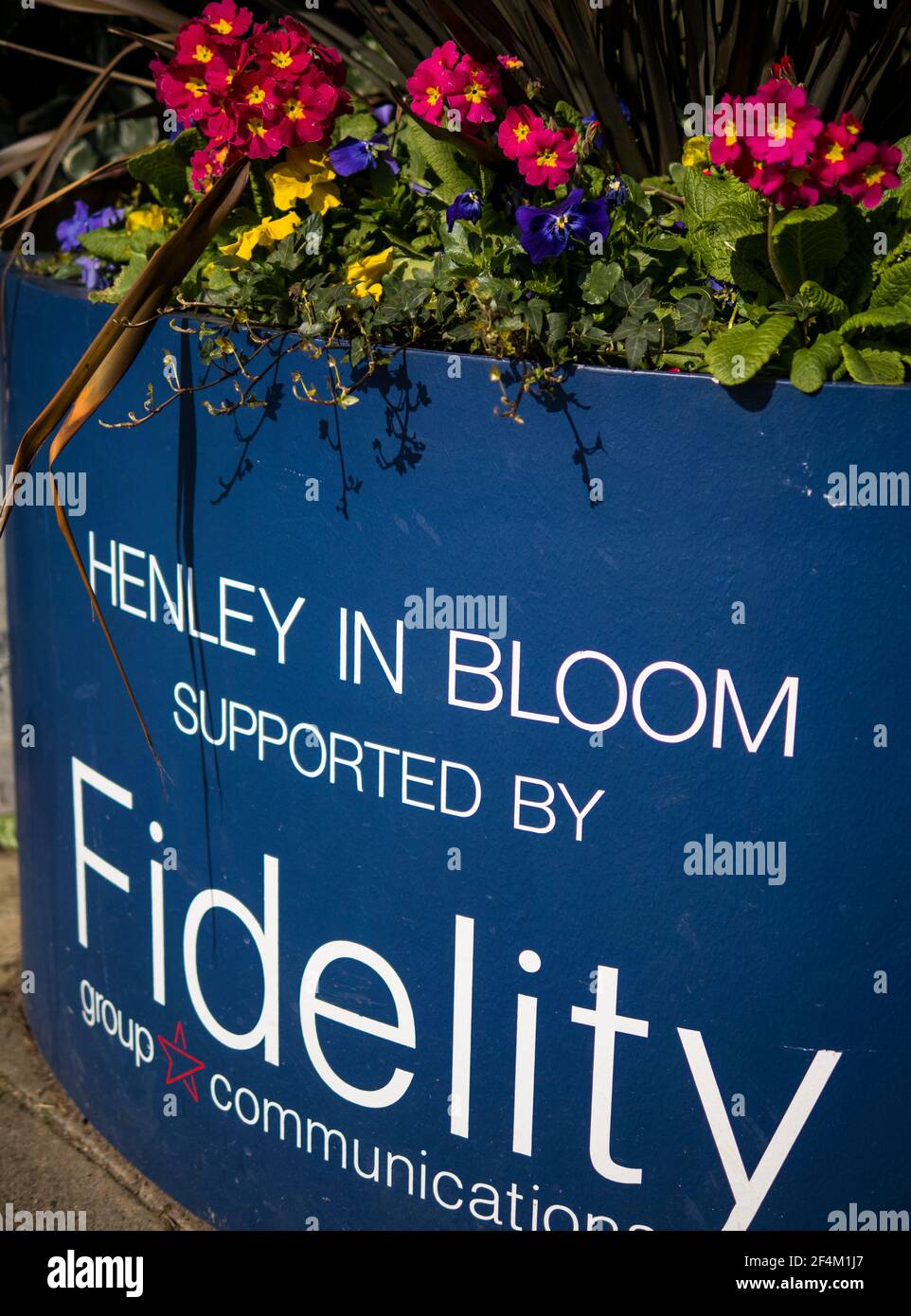 Henley in Bloom, Flowers, Henley-On-Thames, Oxfordshire, England, UK, GB. Stock Photo