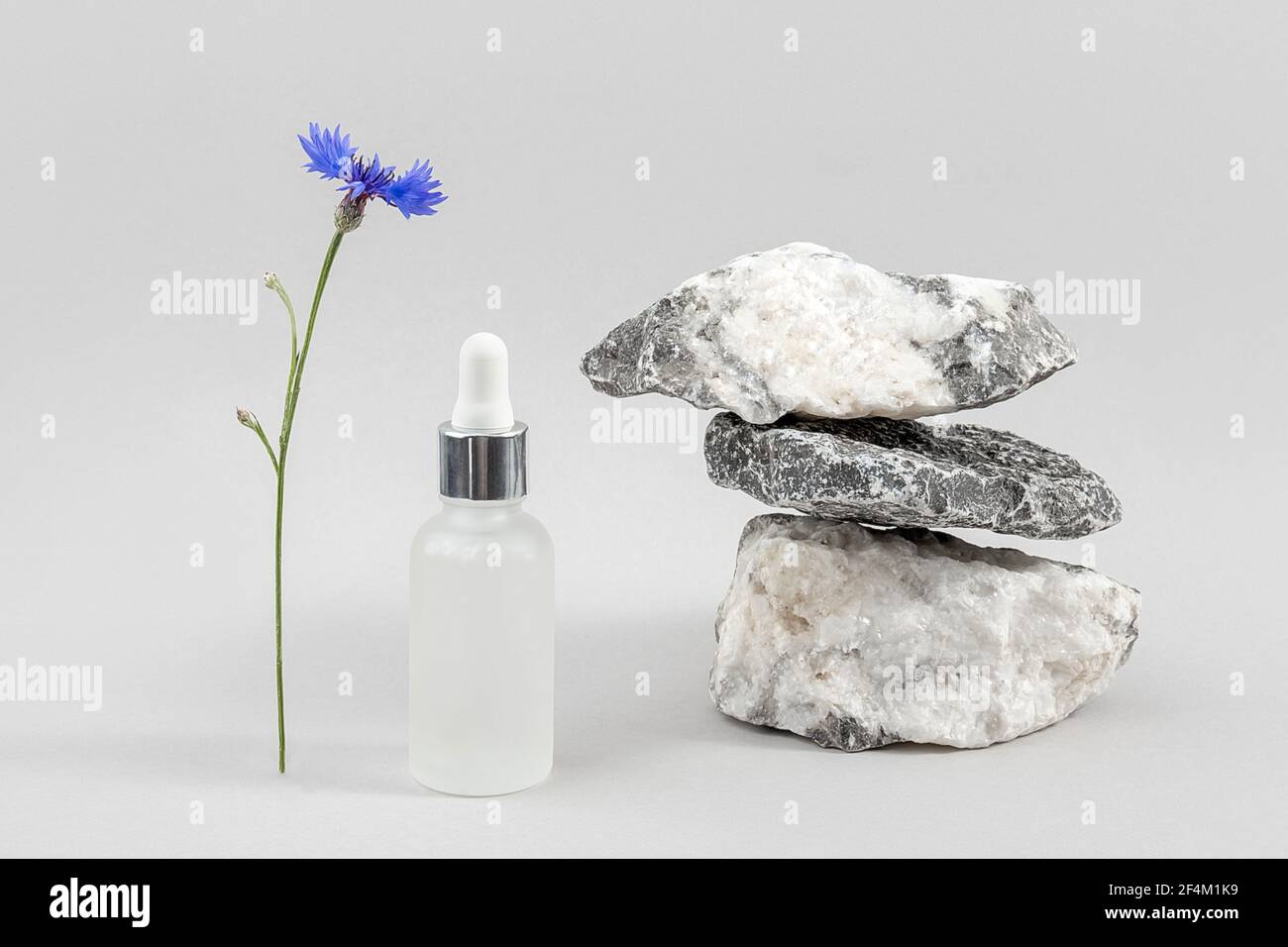 Anti-aging collagen, facial serum in transparent glass bottle with pipette on pile of stones and blue cornflower flower against grey background. Natur Stock Photo