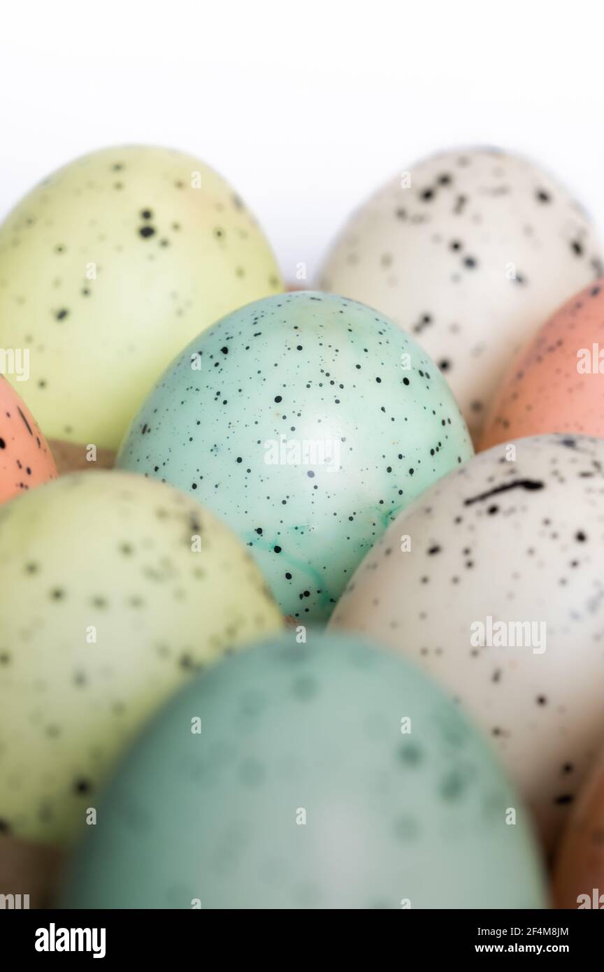 Speckled Pastel Eggs on White Background Stock Photo