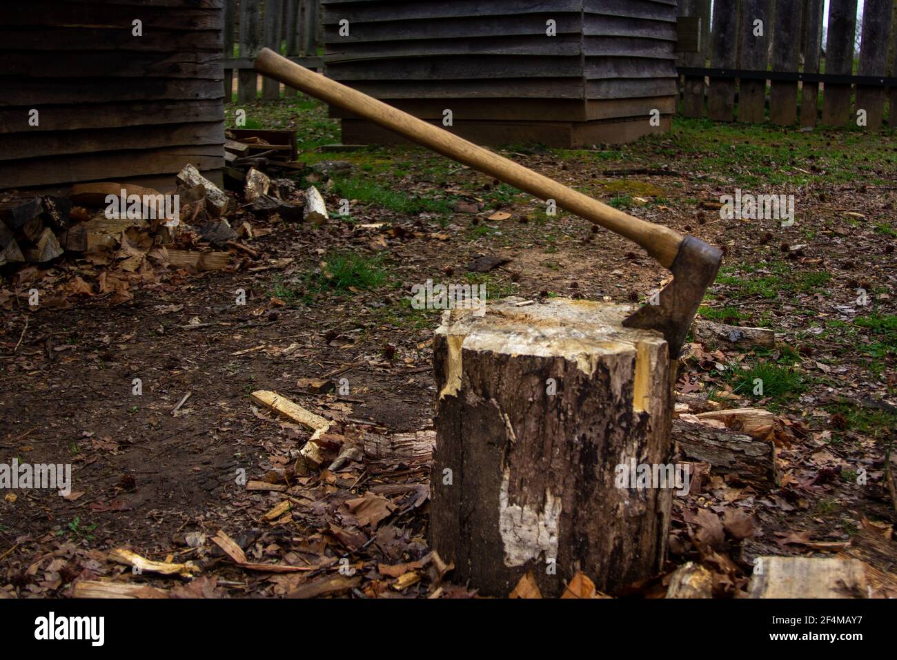 Axe of the type used in the 17th century colony at Henryco. Stock Photo