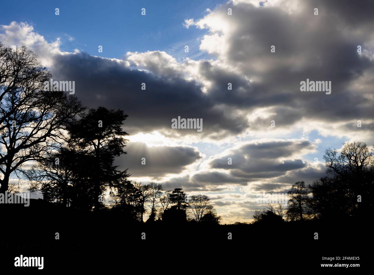 Dark clouds with white edging against a blue sky with tree silhouettes in afternoon winter light at RHS Garden, Wisley, Surrey, south-east England Stock Photo
