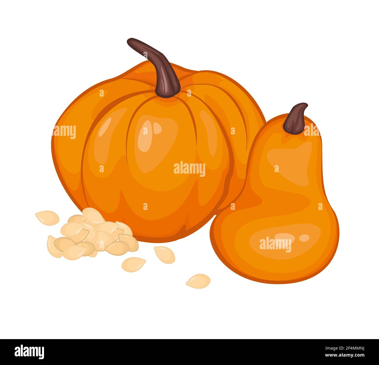 Pumpkins in carton style with pumpkin seeds. Isolated object. Vector illustration.Vegetable from the farm. Organic food. Stock Vector