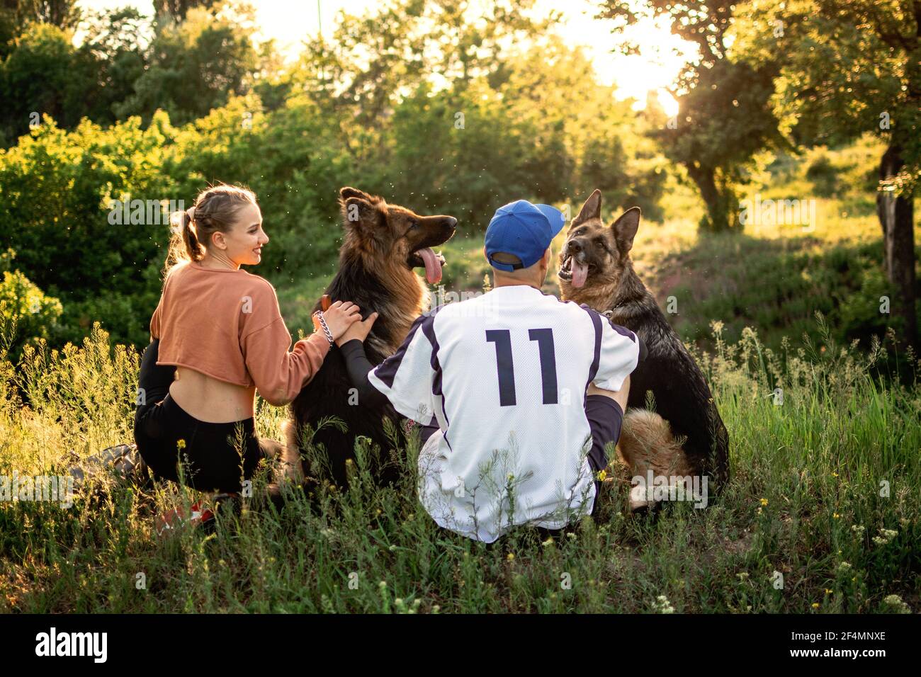 Dog breeds together park hires stock photography and images Alamy