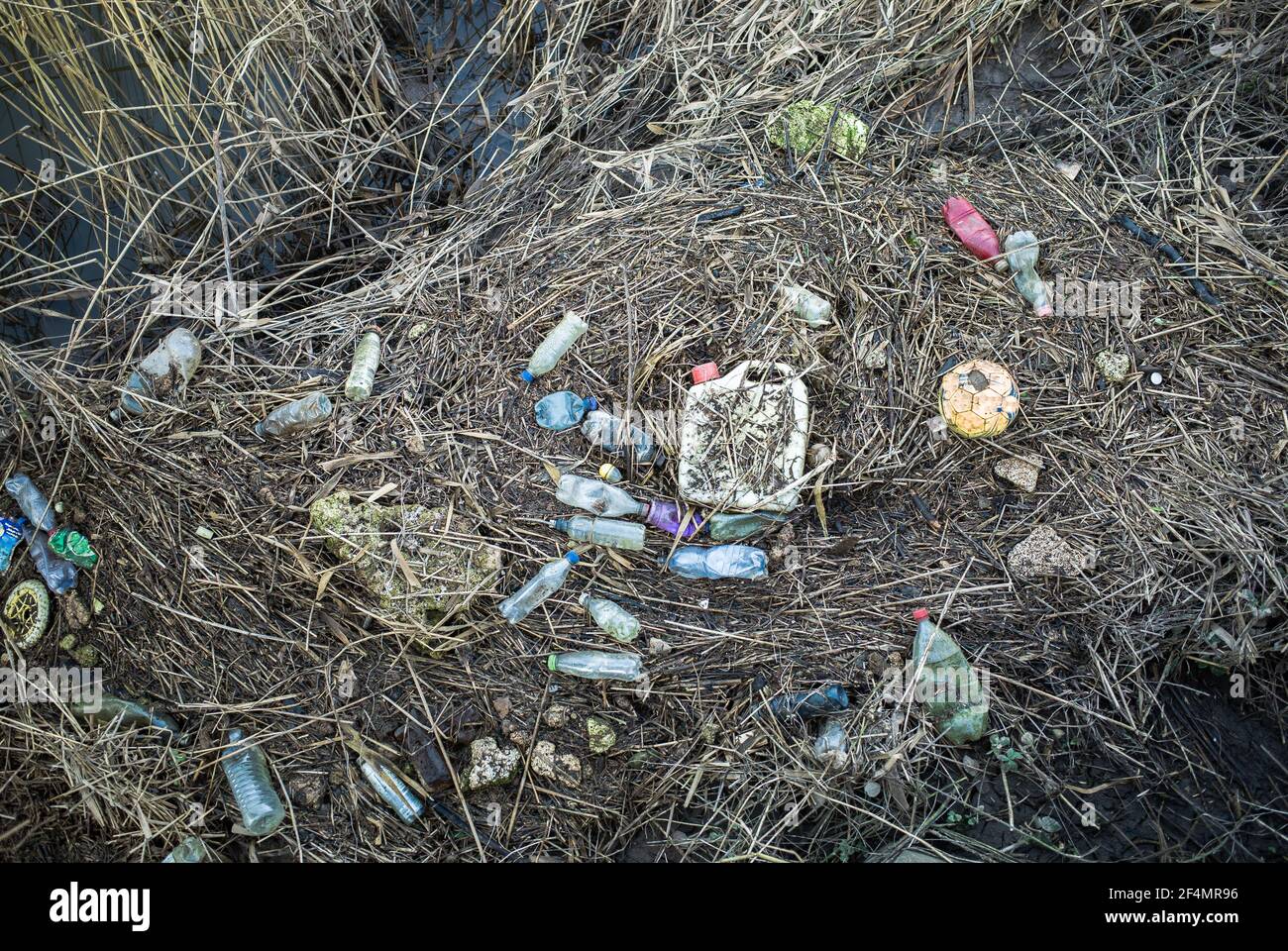 Various discarded plastic items washed up on a river bank after flooding. Stock Photo