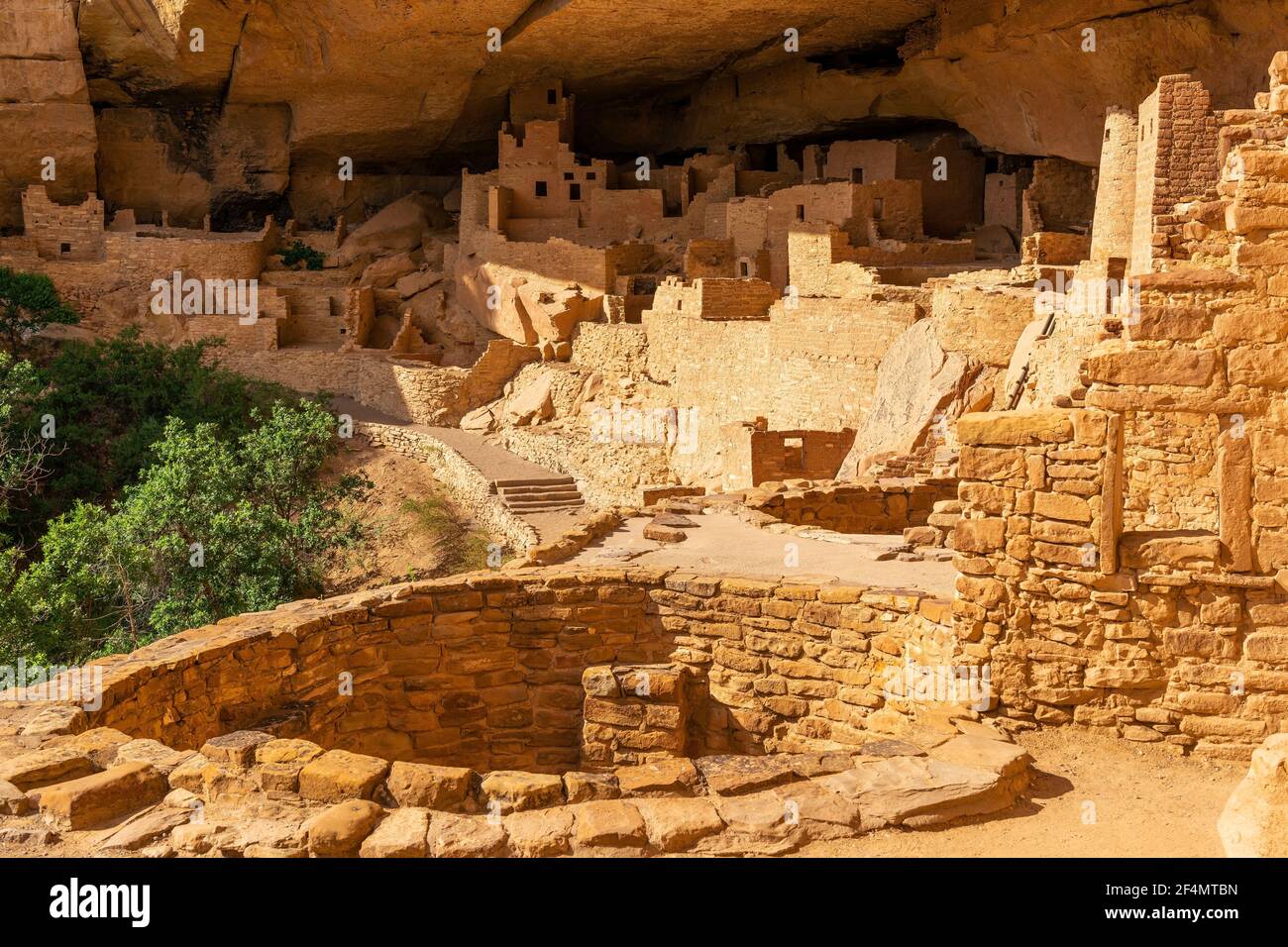 Cliff Palace cave dwelling, Mesa Verde national park, Colorado, United States of America (USA). Stock Photo