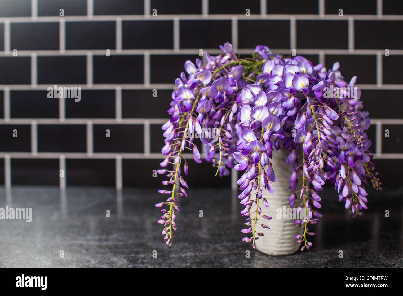 Fresh picked vibrant purple wisteria in a gray vase from a garden in the  spring Stock Photo - Alamy