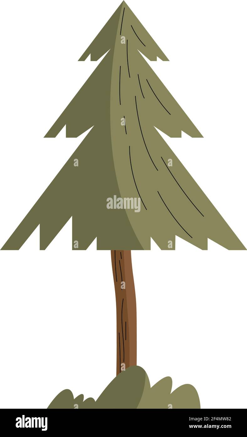 pine tree plant isolated icon Stock Vector Image & Art - Alamy
