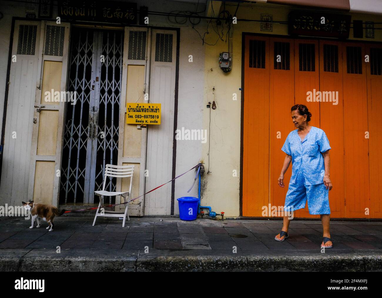 An elderly woman takes her cat out for a walk in the Chinatown area of Bangkok, Thailand Stock Photo