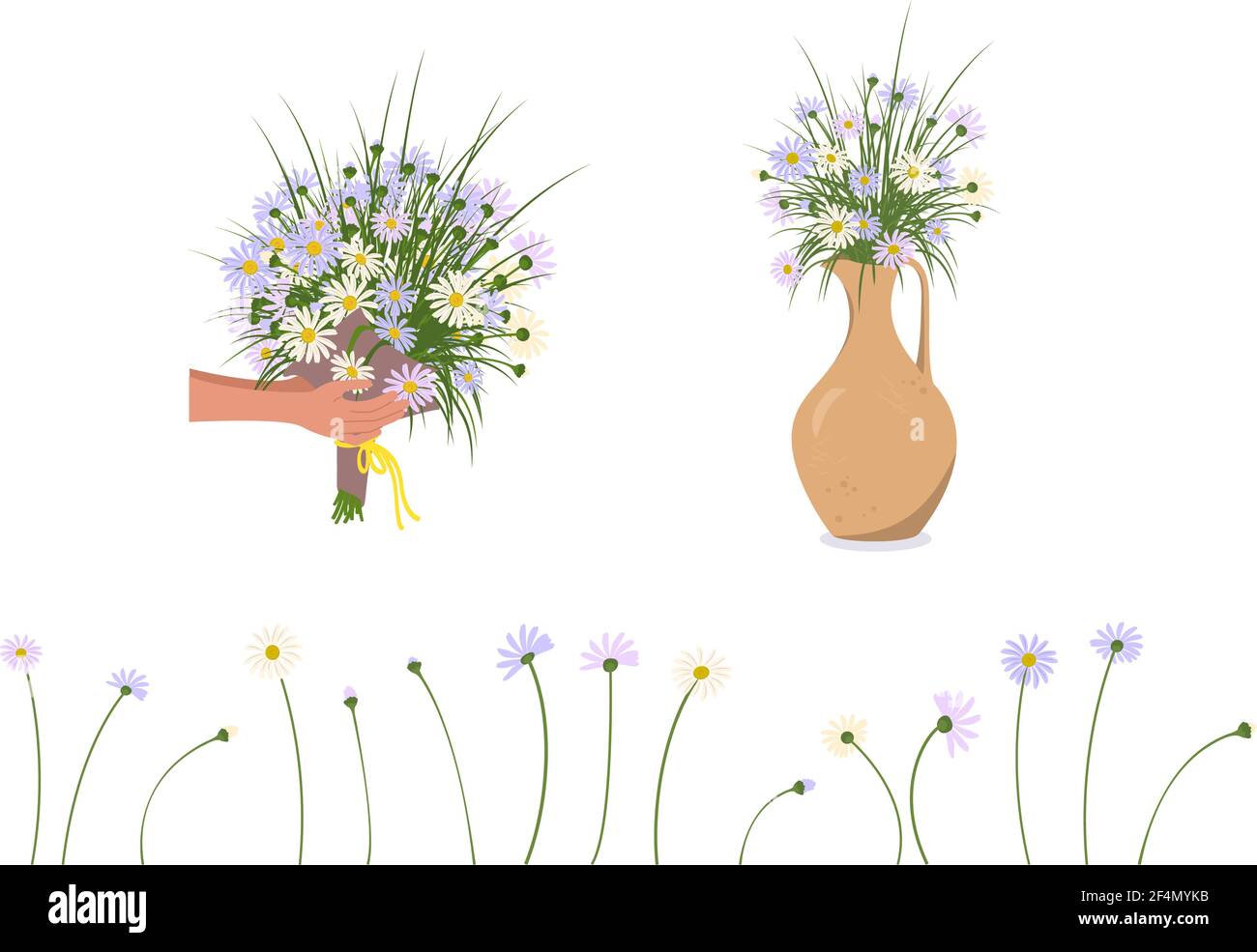 Hands hold daisy and chamomile flowers. Stock Vector