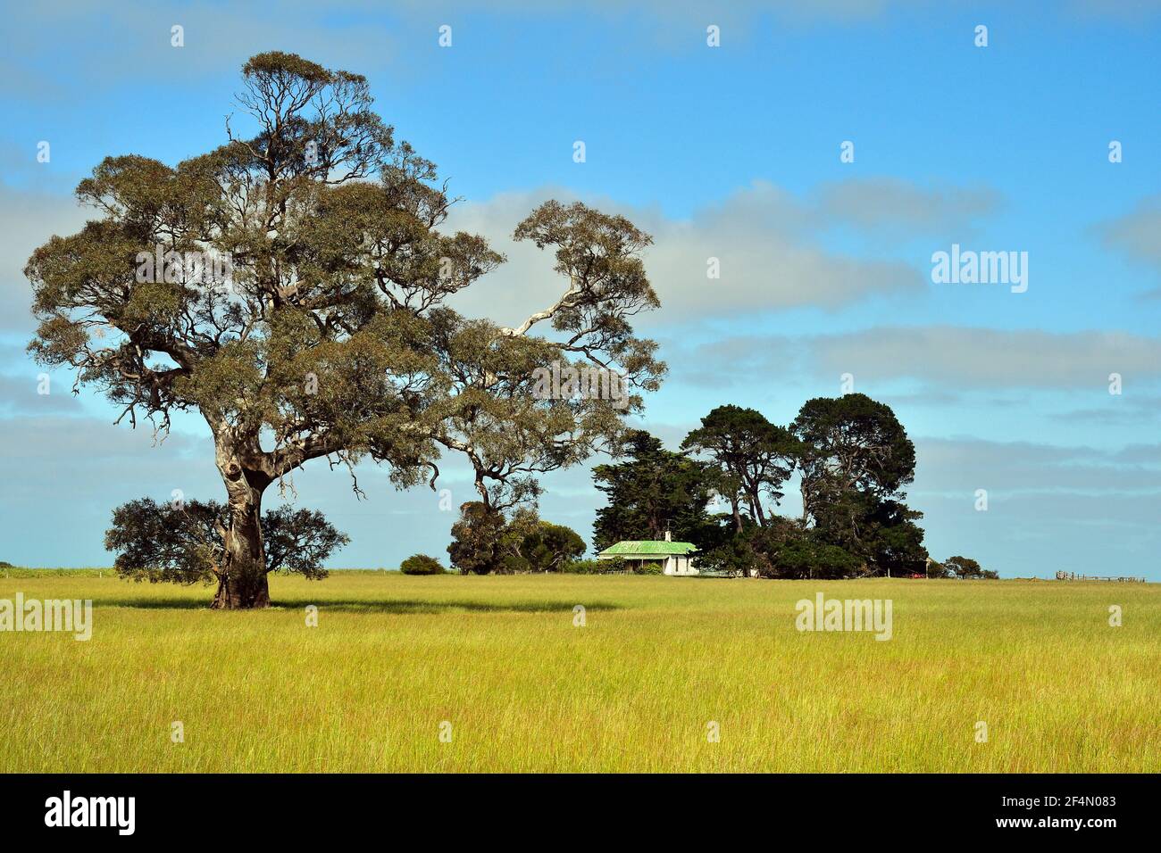 Australia farm hi-res stock photography and images - Alamy