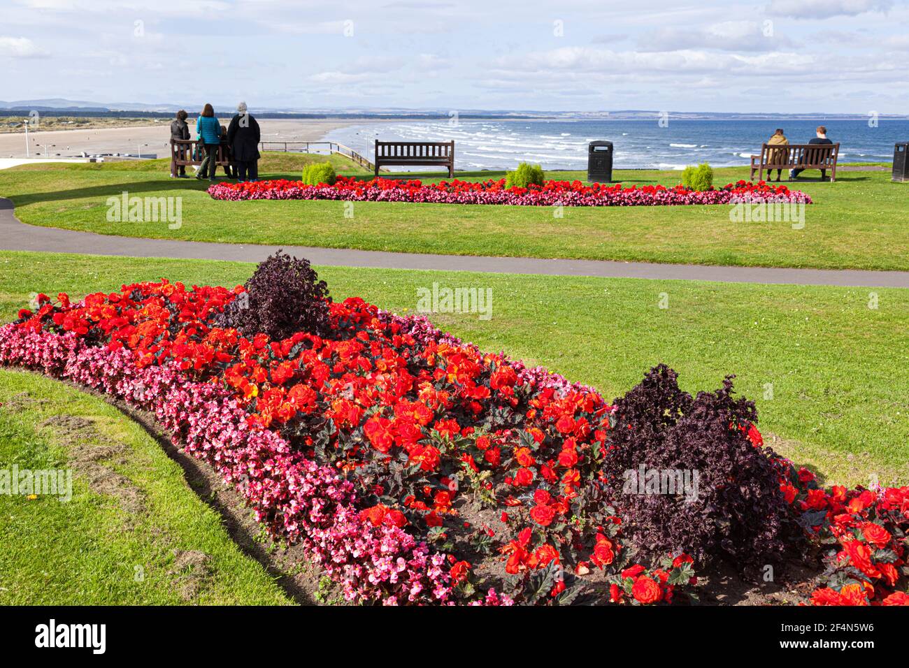Floral displays on the seafront at St Andrews, Fife, Scotland UK Stock Photo