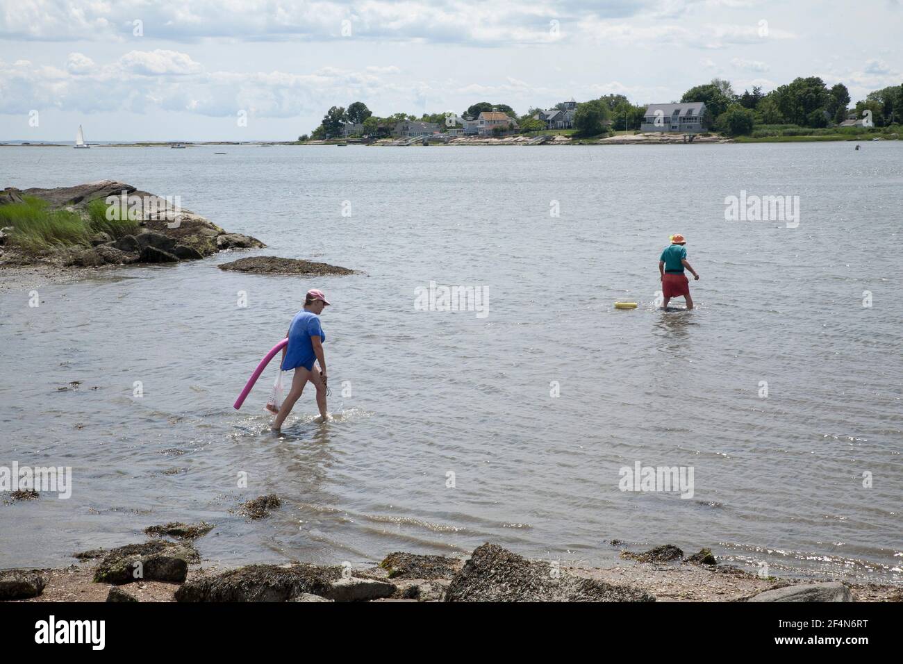 Couple wade into waters of Guilford harbor to dig clams. Stock Photo