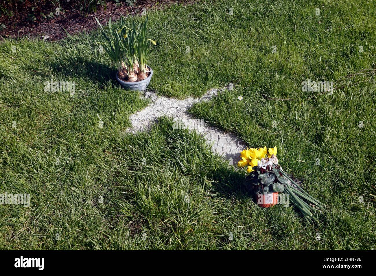 Human ashes hires stock photography and images Alamy