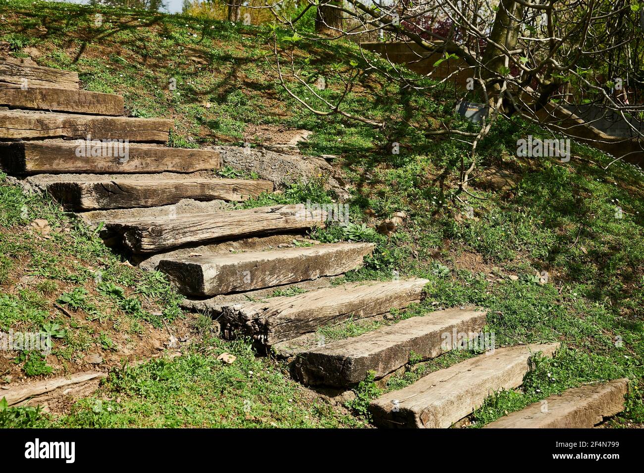 Stairs pathway in middle hi-res stock photography and images - Alamy