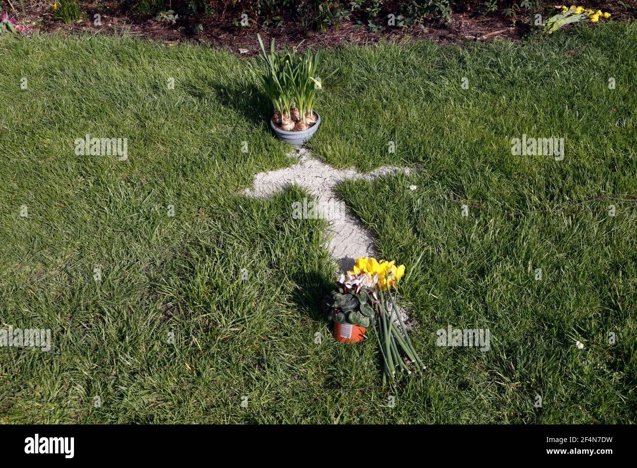 Human ashes scattered in a cross pattern after cremation. In a garden
