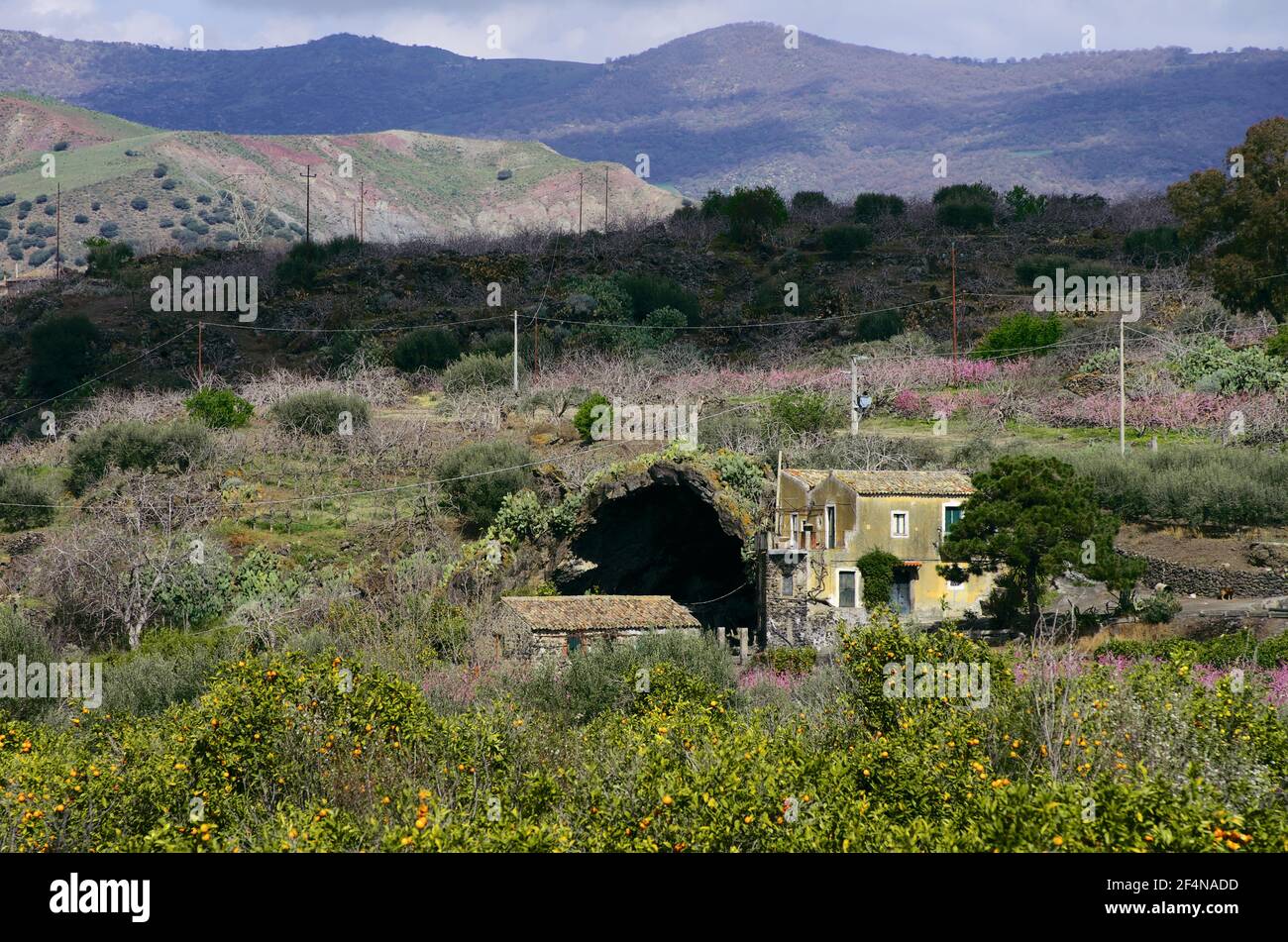 Farm In Sicily 10 BEST Agriturismo Farm Stays In Sicily (2025) Farm