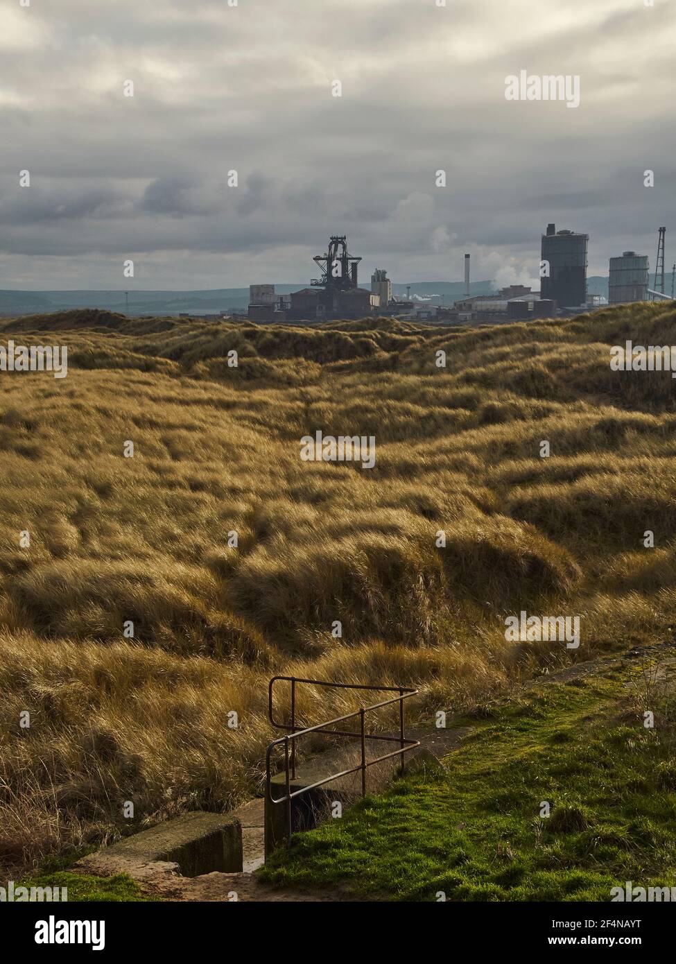 Nature in post-industrial landscape image showing a wide view from South Gare, across grass-covered, wind blown dunes to the derelict steel mill. Stock Photo
