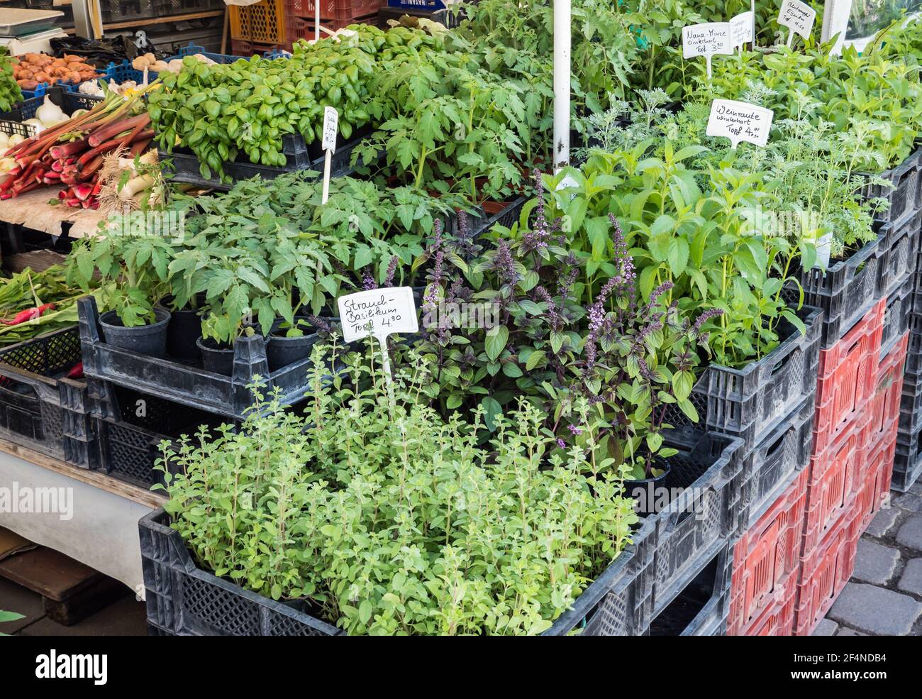 Herbs on the market Stock Photo Alamy