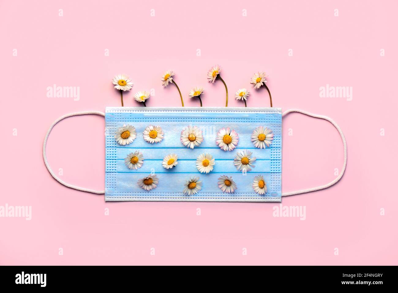 Protective surgical mask with white daisy flowers on a pink background