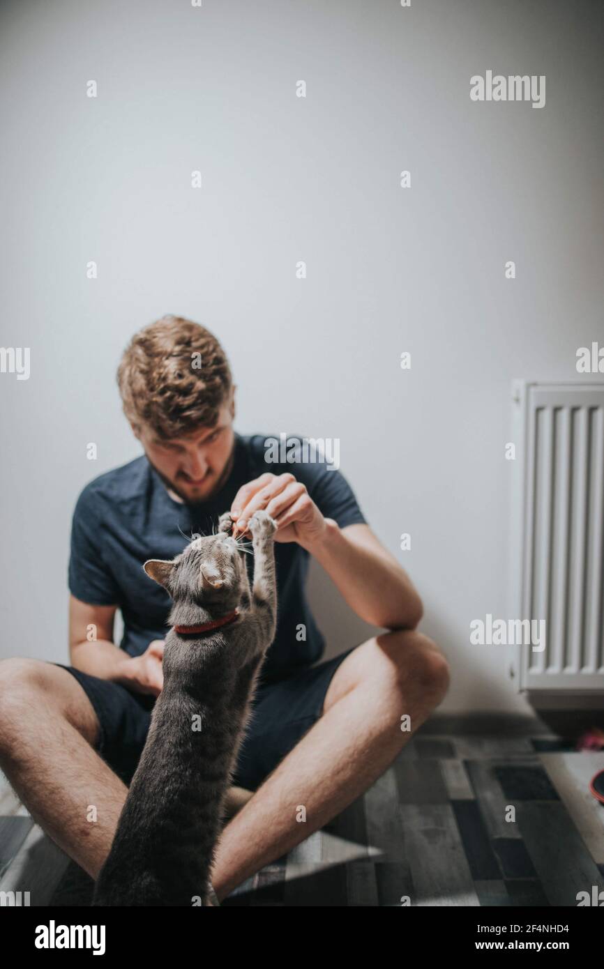 Shallow focus of a Caucasian male hand-feeding his cat Stock Photo